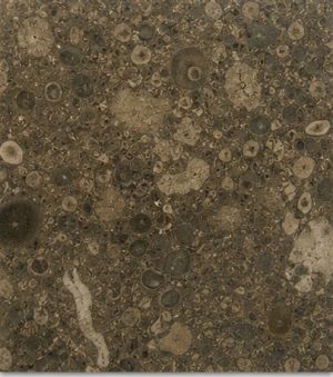 Ochanic Marble Marble Stone Colour